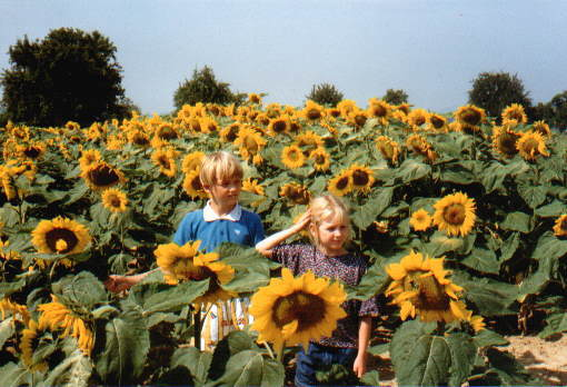 Meine Schwester und ich in einem Sonnenblumenfeld in Frankreich